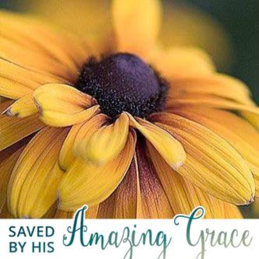 Meet your Posher, Jenny downing